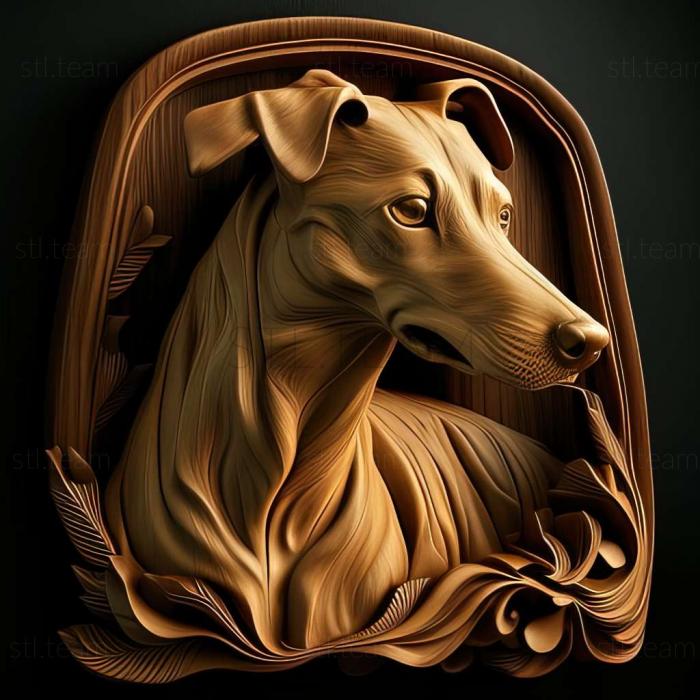 Horthaya greyhound dog